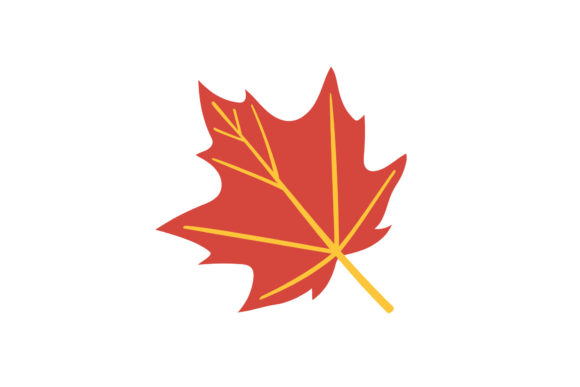 Reviewing Autumn Floral Vector Illustration-03 for Stitching